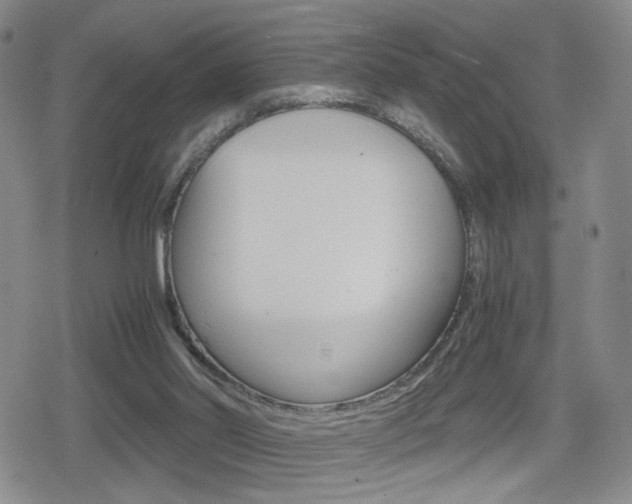 X0000080160014200612081038