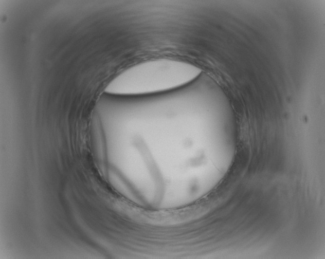 X0000080160030200612081038
