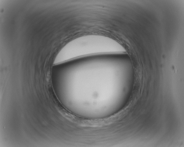 X0000080160033200612081038