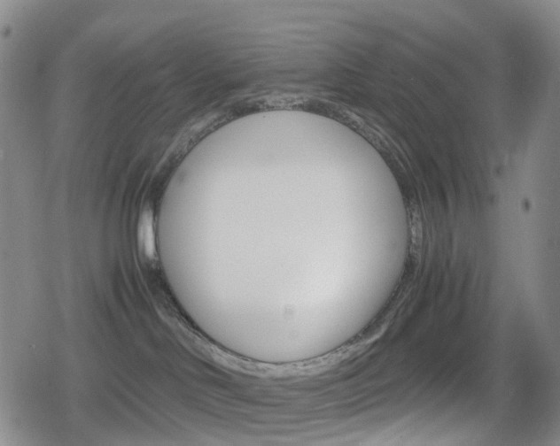 X0000080160046200612081038