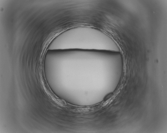 X0000080160049200612081037