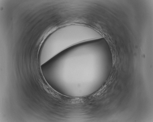 X0000080160050200612081037