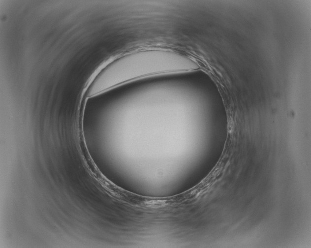 X0000080160052200612081037