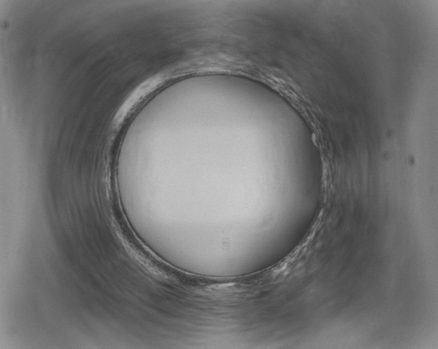 X0000080160054200612081037