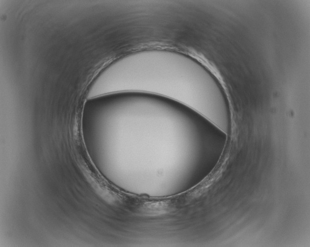X0000080160057200612081037