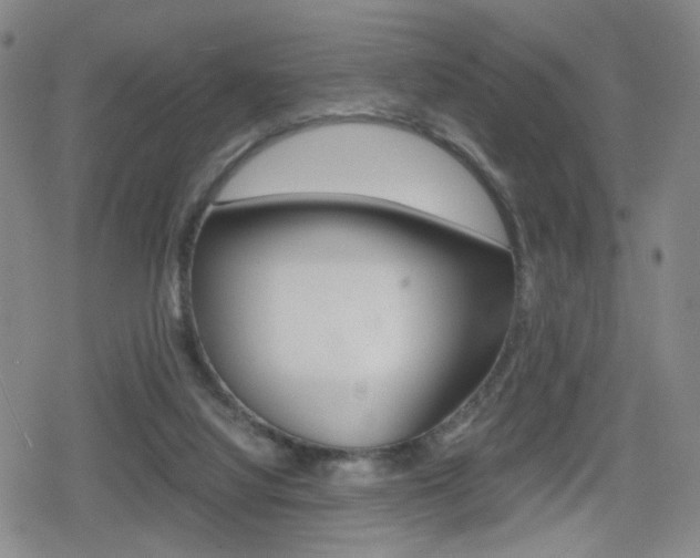 X0000080160068200612081037