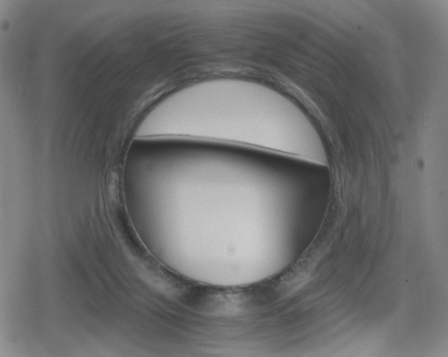 X0000080160071200612081037