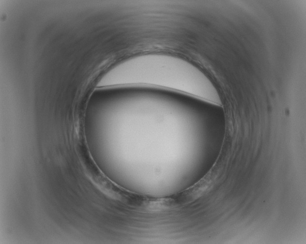 X0000080160072200612081037