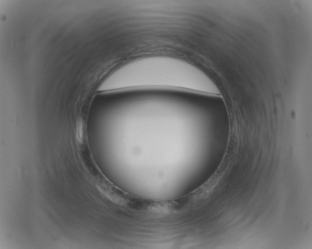 X0000080160076200612081038