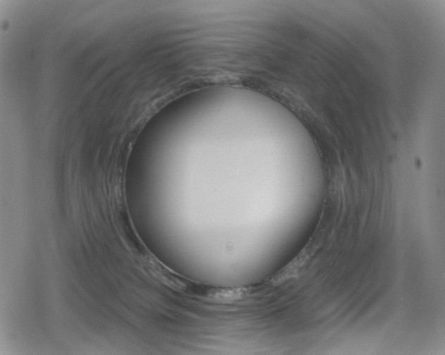 X0000080160084200612081038