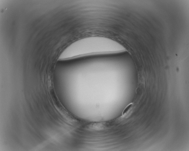 X0000080160086200612081038