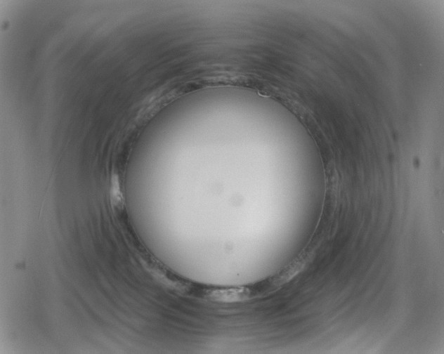 X0000080160089200612081038