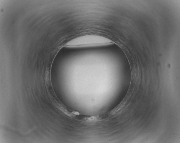 X0000080160092200612081038