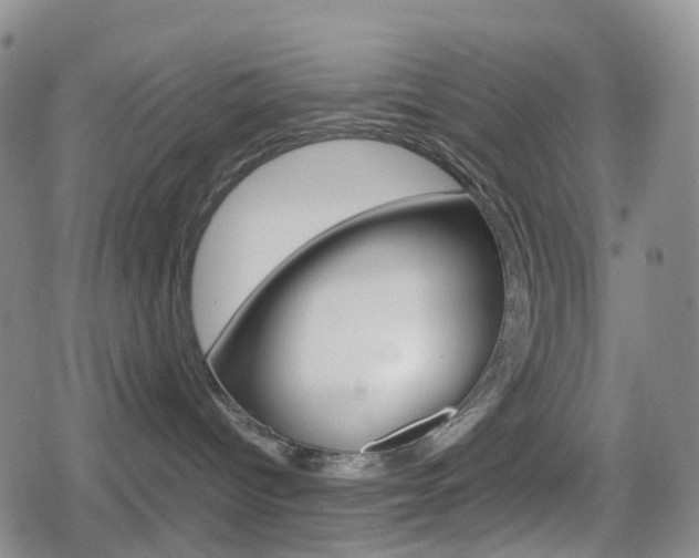 X0000080160096200612081038