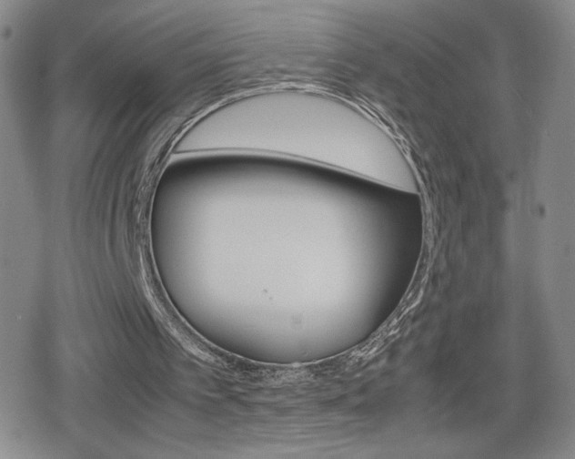 X0000080160097200612081037