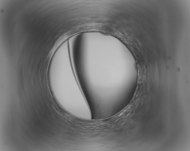 X0000080160099200612081037