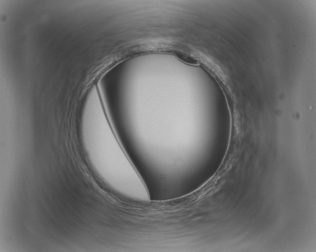 X0000080160105200612081037
