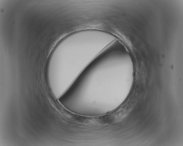 X0000080160107200612081037