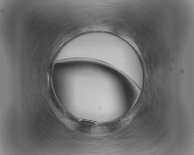 X0000080160109200612081037