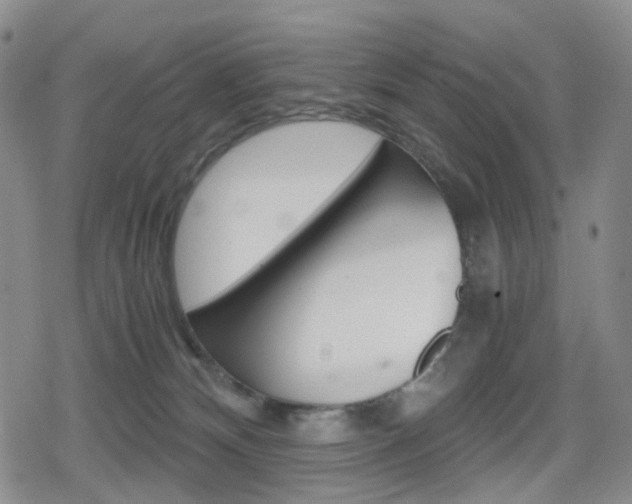 X0000080160132200612081037