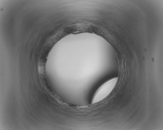 X0000080160137200612081036