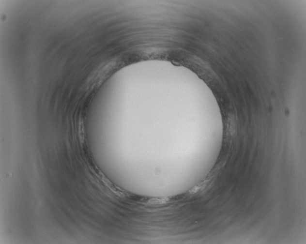 X0000080160138200612081036