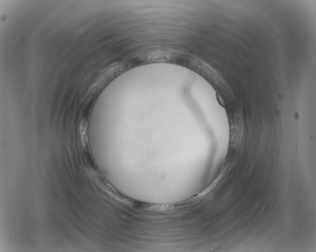 X0000080160142200612081036