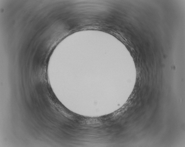 X0000080160146200612081036