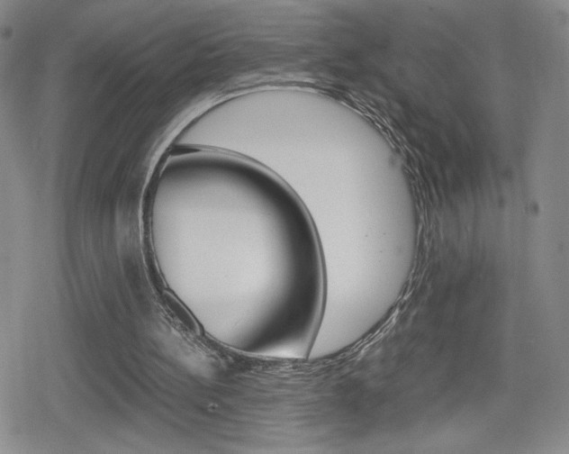 X0000080160148200612081036
