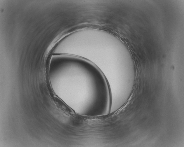 X0000080160150200612081036