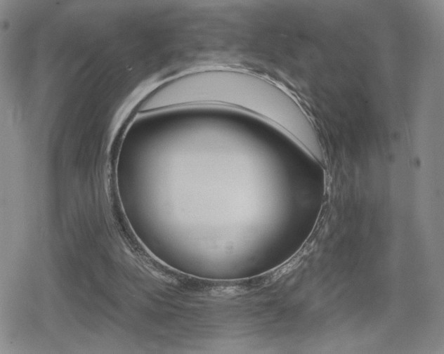 X0000080160152200612081036
