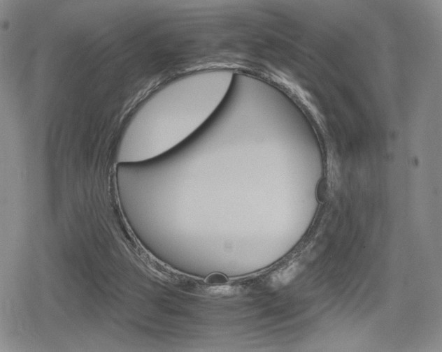 X0000080160153200612081036