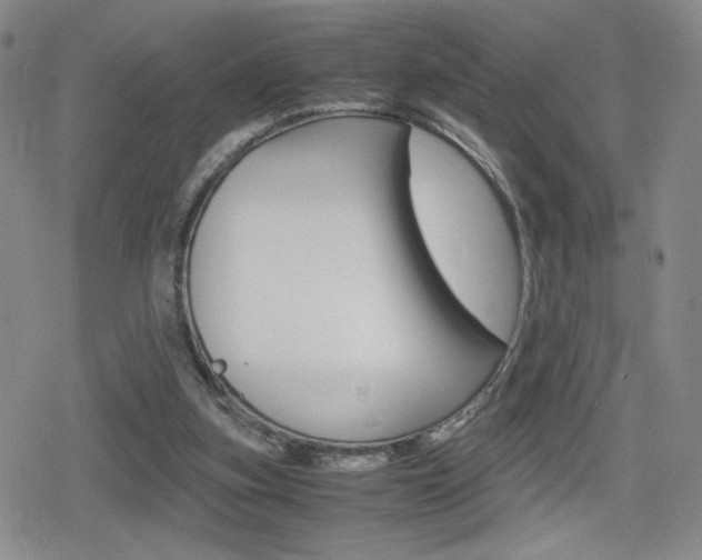 X0000080160155200612081036