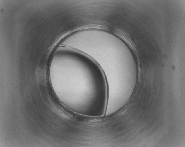 X0000080160156200612081036