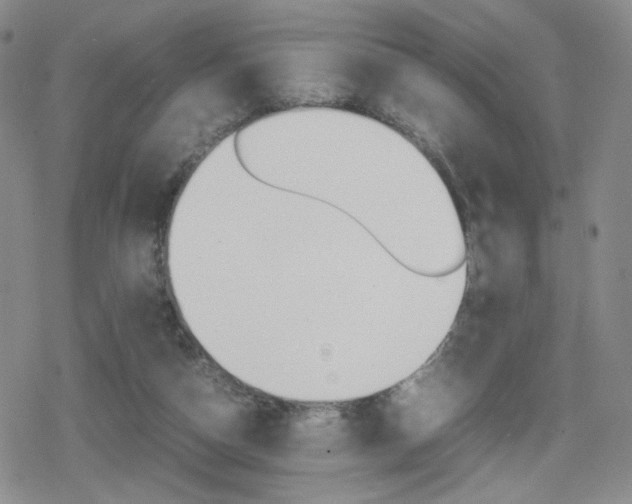 X0000080160162200612081036