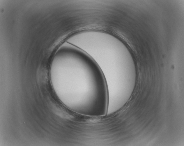 X0000080160164200612081036