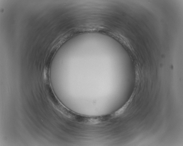 X0000080160166200612081036