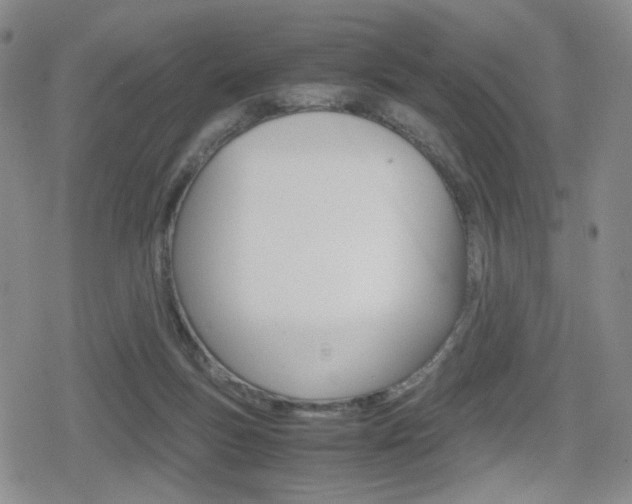 X0000080160167200612081036