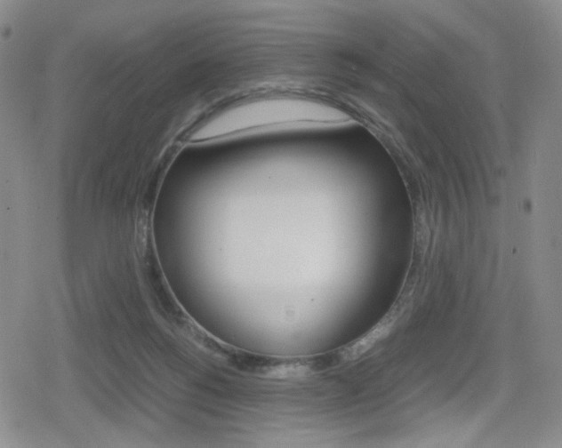 X0000080160168200612081036