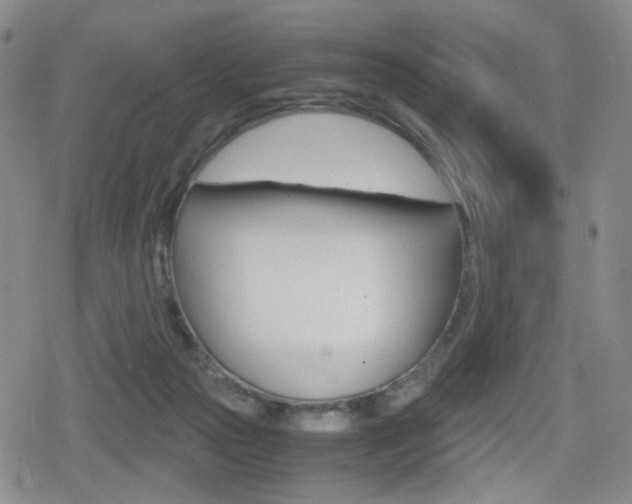 X0000080160169200612081036