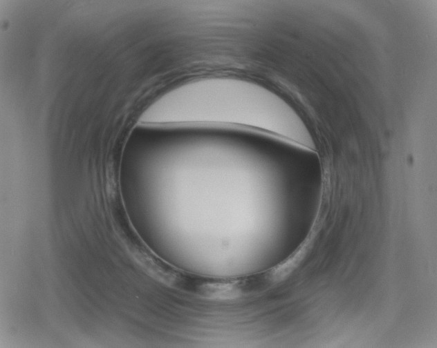 X0000080160170200612081036