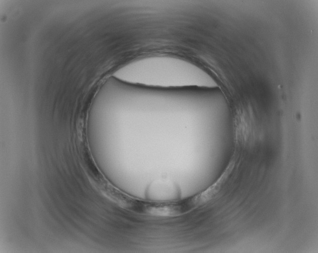 X0000080160171200612081036