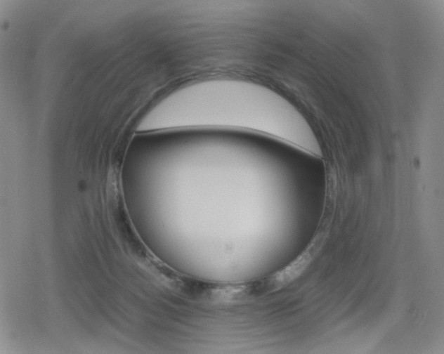 X0000080160172200612081036