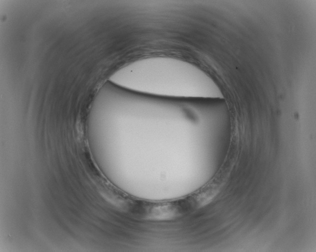 X0000080160173200612081036
