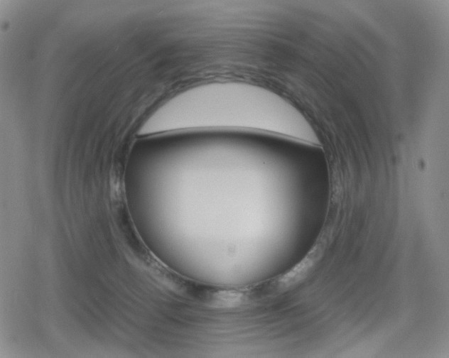 X0000080160176200612081036