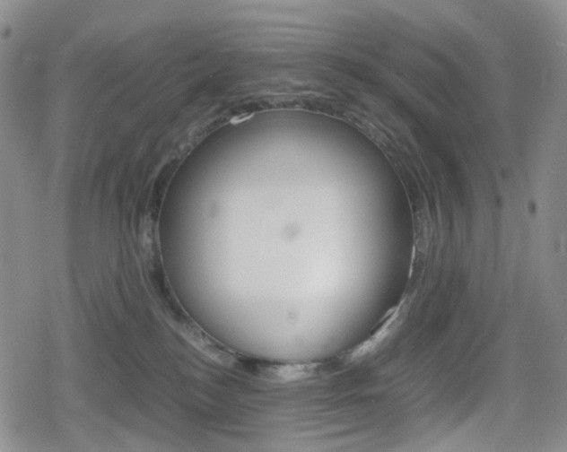 X0000080160184200612081036