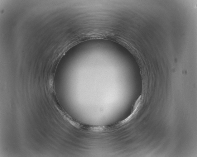 X0000080160192200612081036