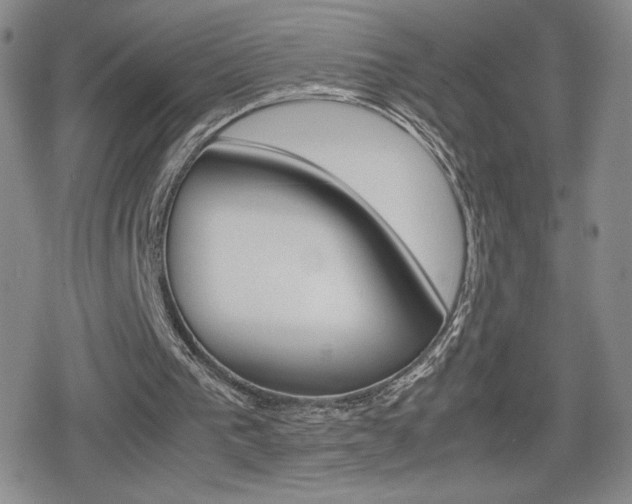 X0000080160193200612081036