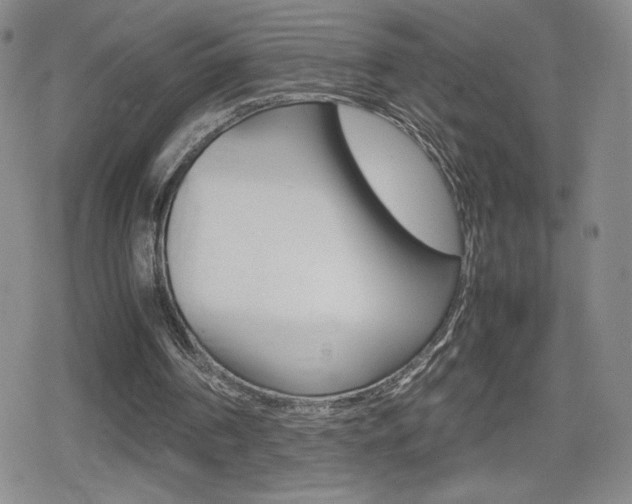 X0000080160194200612081036