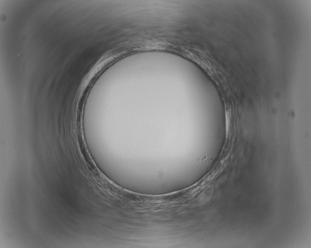 X0000080160195200612081036